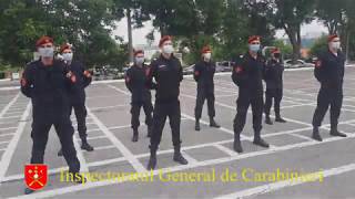 CARABINIERII ÎN ACȚIUNE. SINTEZA SĂPTÂMÂNII. 15-21 IUNIE.