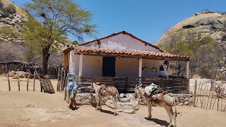 ELE VIVE ISOLADO NA SERRA DO ABREU: HÁ MAIS DE 30 ANOS NO SERTÃO