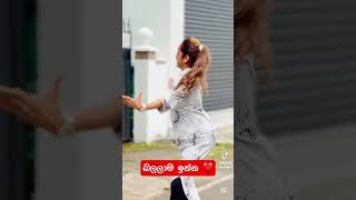 තාම බැලුවේ නැද්ද #trending #viral_video 🫀👀