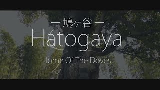 鳩ヶ谷～Home Of The Doves～