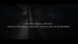 Make a Difference