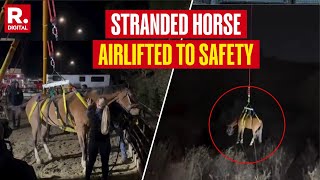 California Firefighters Pull Off Daring Airlift to Save Stranded Horse