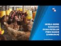 AgriTips: Kandang ntuk Ayam Petelur Free Range (Umbaran)