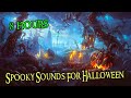 Spooky Sounds For Halloween Halloween Sounds Of Horror 8 hours