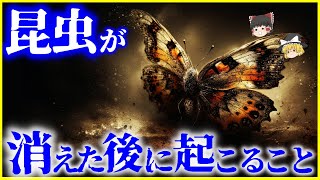 【ゆっくり解説】絶滅は既に始まっている…？もしも「昆虫」が地球上から消え去ったら？を解説/昆虫が絶滅した後の世界に起こること