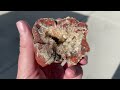 the geodes and grape agates of the san rafael swell utah