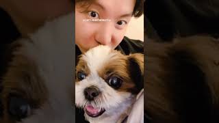 BTS members with their pet dogs 🐶 Choose your favourite ❤️