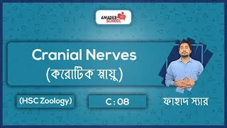 3. Cranial Nerves| করোটিক স্নায়ু | HSC Zoology Chapter 8 | Coordination and Control