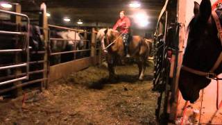 M4V03894.MP4
