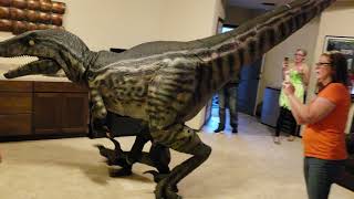 Saphira Velociraptor greets the kids at Danelo Halloween 2018