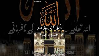 Hamare Nabi Pak ﷺ Ki 5 Khubsurat Hadees | Urdu Status | Islamic WhatsApp Status Video