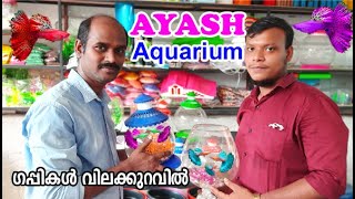 പുതുമയോടെ അയാഷ് അക്വോറിയം ഷോപ്പ്/Aquarium shop in malappuram