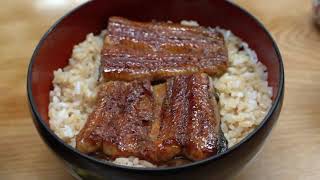 Grilled Eel - Unagi Kamameshi - amazing Japanese tradition dish