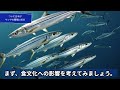 【世界初】日本がサンマの養殖ついに成功