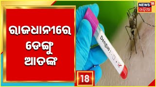 Bhubaneswar Dengue News | ରାଜଧାନୀରେ ଥମୁନି ଡେଙ୍ଗୁ ଆତଙ୍କ  ମୁକାବିଲା ପାଇଁ ସଜାଗ BMC | Odia News