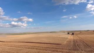 Harvesting Durum with Sky Hawk Enterprises #harvest16