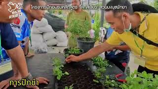 โครงการฝึกอบรมหลักสูตร \