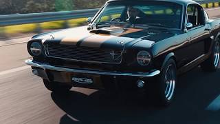 Production Car Review - Raven Black with Gold Metallic LeMans Stripes 1966 Shelby GT350H