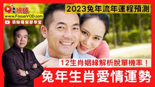 2023年12生肖愛情運勢！12生肖姻緣解析脫單機率！ 2023癸卯兔年十二生肖運勢【愛情桃花姻緣篇】 #流年運程 #兔年運程 #生肖 《張駿曜智慧學堂》 EP41 20221227