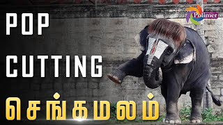 POP CUTTING SENGAMALAM | POLIMER TV