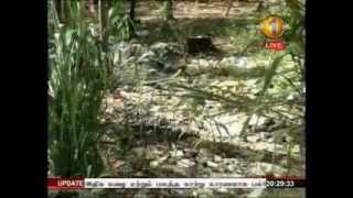 Shakthi 8pm News_ 16th October 2014