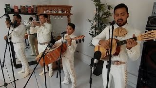 El Mariachi Alazán - Hermoso Cariño (Vicente Fernández)