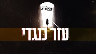 אורות - עזר כנגדי  (Orot - Ezer Kenegdi)