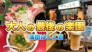 【蒲田】驚愕のハイボール29円のもつ焼き屋！女一人 ほろ酔いはしご酒