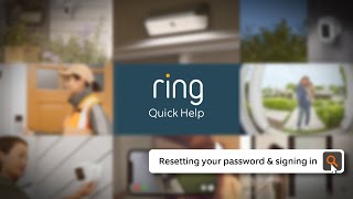 Ring Quick Help | Resetting Your Password and Signing In