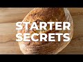 My Secret Sourdough Bread Starter Recipe Revealed