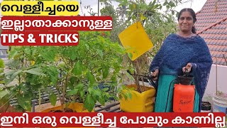 വെള്ളീച്ചയെ ഇല്ലാതാക്കാനുള്ള മാർഗ്ഗം | Tips \u0026 Tricks | Malayalam