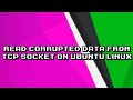Recovering Corrupted TCP Socket Data on Ubuntu Linux