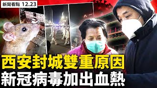 💥西安宣佈封城！萬民慌亂搶購；出血熱肆虐西安，醫院爆滿多人遇難；海淀警方查謠，「佟麗婭再婚」真與假？慎佟兩人真愛？前夫主動「拉皮條」？ 【新聞看點 李沐陽12.23】