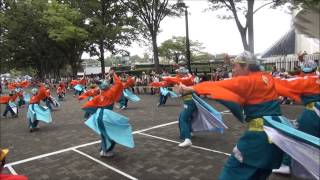 ぞっこん町田'98　原宿スーパーよさこい2013／NHK前ストリート