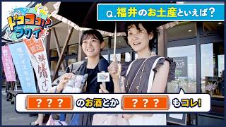 実は満足度が激高のお土産の宝庫！福井県の真実！【ドコココ！？フクイ】福井県リアルインタビュー お土産編