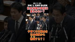 社会保険の負担は変わらない？#社会保険 #支援金 #青柳仁士 #衆議院議員 #国会 #質疑 #shorts