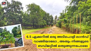 6.5 ഏക്കറിൽ ഒരു അടിപൊളി ലാൻഡ് വാങ്ങിയാലോ | Land for sale in  Palakkad | shas-pb-4004