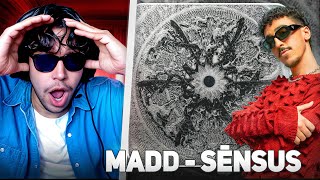 LIVE REACTION -  MADD  ALBUM SENSUS