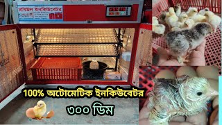 100% অটো ইনকিউবেটর কিনুন সস্তায় || full auto incubator for chicken eggs || 01734-798333 #incubator