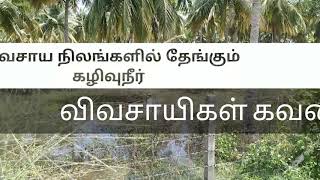 விவசாய நிலங்களில் தேங்கும் கழிவு நீர், விவசாயிகள் கவலை