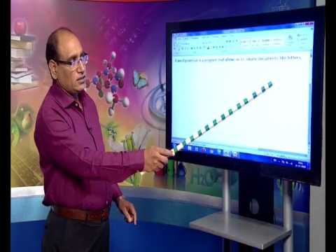 Word Processing Vectorfad