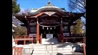 熊野神社・象気功 / Kumano Shrine