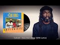 Culture - How Did I Stray (With Lyrics)
