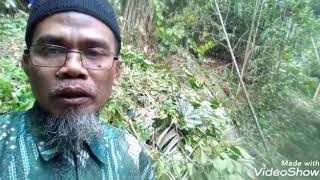 Alhamdulillah setelah di bersihkan kelihatan sumber mata air di lamping nangka Desa Bojongsari.