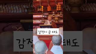 감정이 자신의 태도를 지배하지 않게 하라 #정목스님