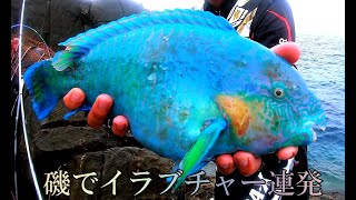 THE！Okinawa！な魚がつれました【沖縄釣り】