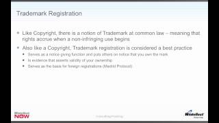 Understanding Trademarks for Software Developers