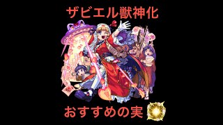 【ザビエル獣神化】おすすめわくわくの実[モンスト]