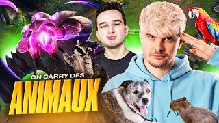 On carry des GM/CHALLENGER avec Strey (c'est des animaux)