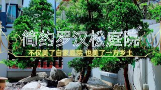 羅漢松|簡美的庭院